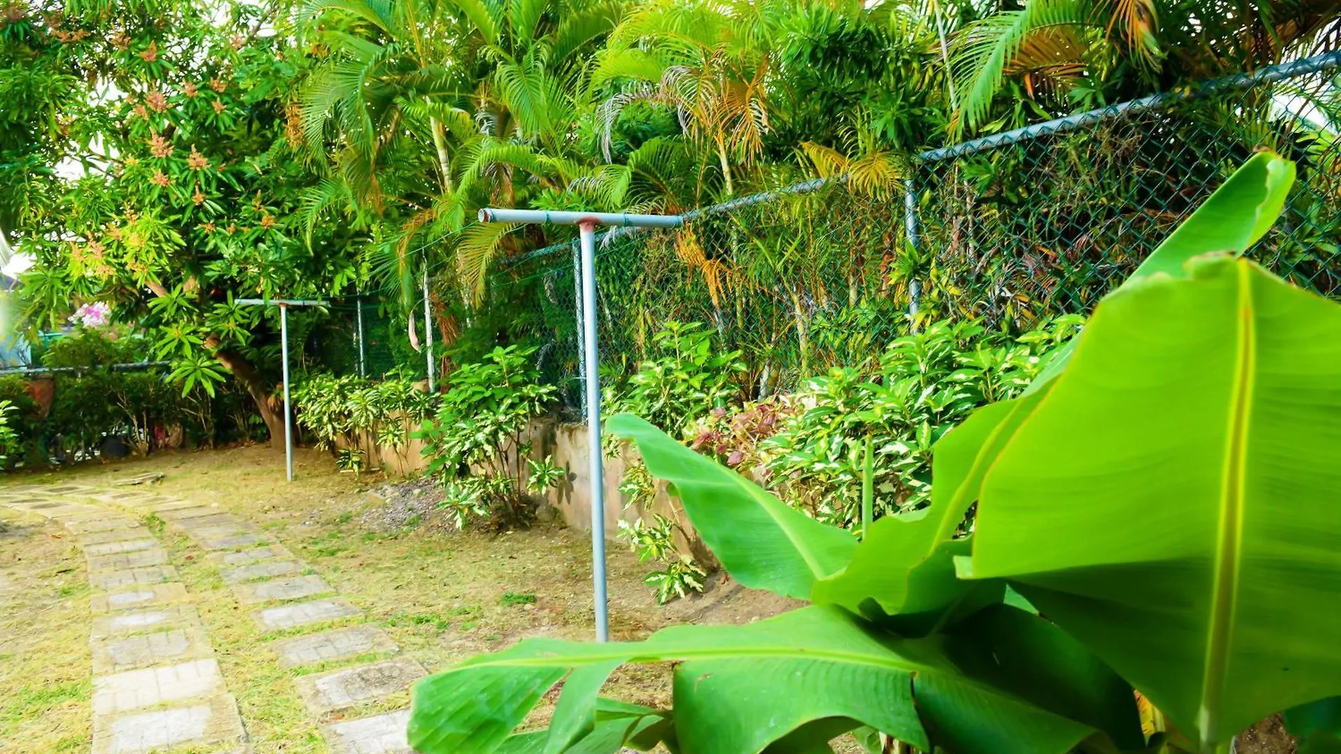Apartment Palms Richmond Home Jamaika