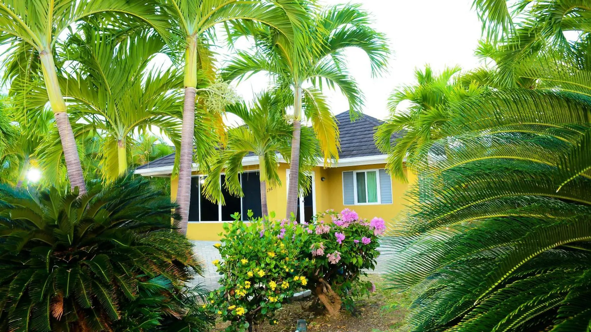 Palms Richmond Home 0*,